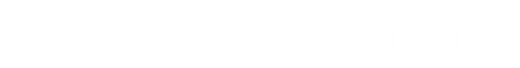 Techweise
